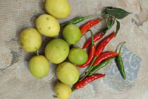 Paper Lemon: Kagaji Nimbu