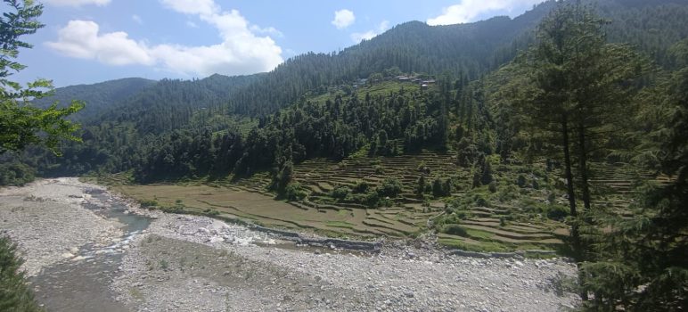 Barot Valley